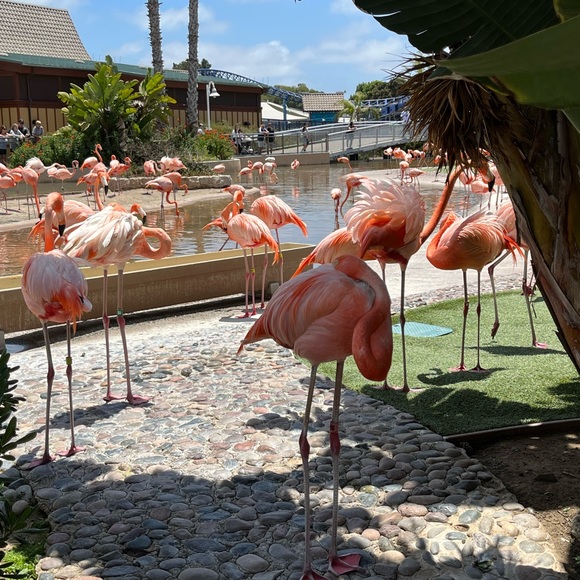 Meet your Posher, Lisy - Picture 5 of 5